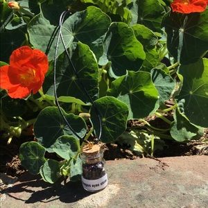 Crystals (Dragon Eye Stone)In A Bottle Mini